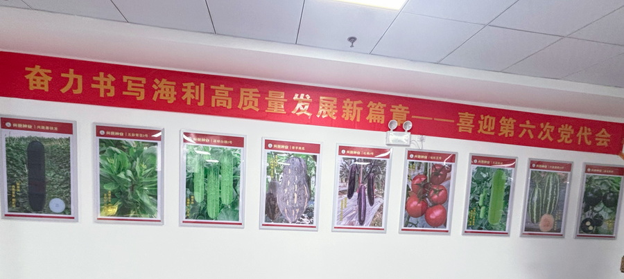 興蔬種業(yè)公司營造黨代會宣傳氛圍